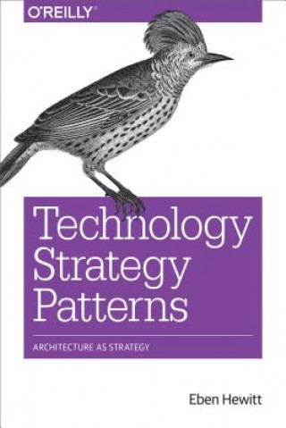 Kniha Technology Strategy Patterns Eben Hewitt