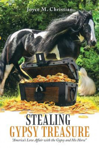 Buch Stealing Gypsy Treasure Joyce M Christian