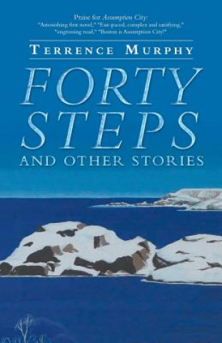 Könyv Forty Steps and Other Stories Terrence Murphy