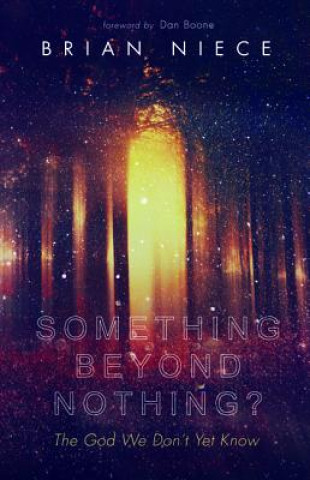 Knjiga Something Beyond Nothing? Brian Niece