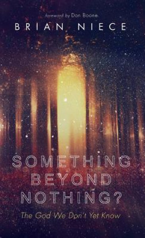 Libro Something Beyond Nothing? Brian Niece