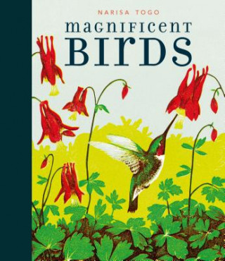 Carte Magnificent Birds Candlewick Press