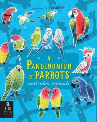 Kniha A Pandemonium of Parrots and Other Animals Kate Baker