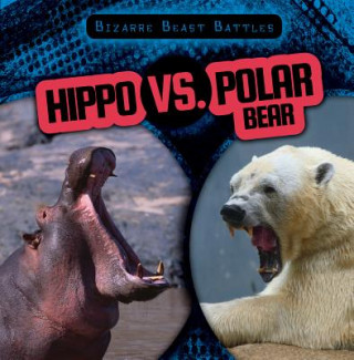 Buch Hippo vs. Polar Bear Janey Levy
