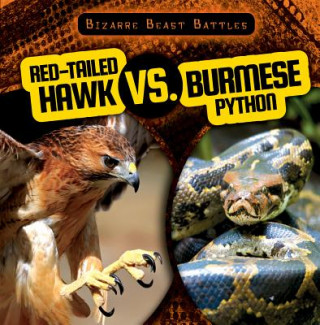 Knjiga Red-Tailed Hawk vs. Burmese Python Theresa Morlock