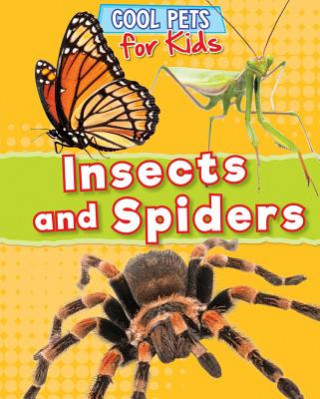 Kniha Insects and Spiders Dawn Titmus