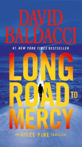 Buch Long Road to Mercy David Baldacci