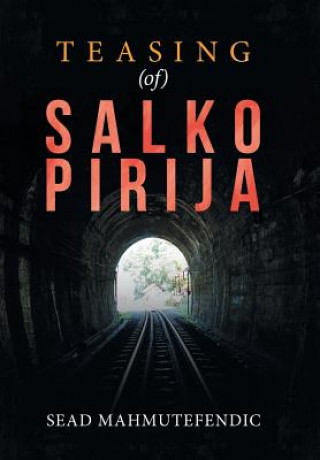 Knjiga Teasing (Of) Salko Pirija Sead Mahmutefendic