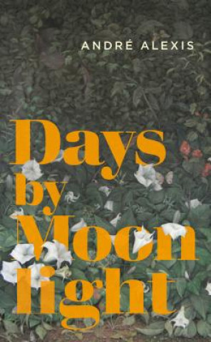 Book Days by Moonlight Andre Alexis
