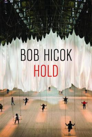 Knjiga Hold Bob Hicok