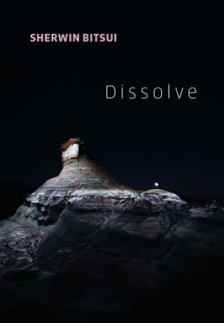 Buch Dissolve Sherwin Bitsui