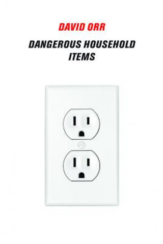 Knjiga Dangerous Household Items David Orr