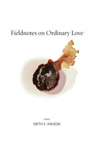 Książka Fieldnotes on Ordinary Love Keith S. Wilson