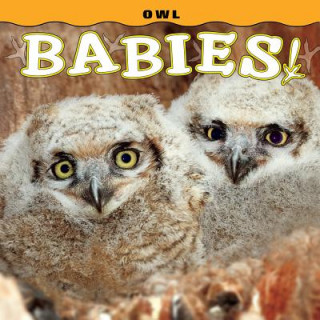 Buch Owl Babies! Steph Lehmann