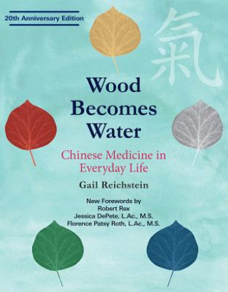 Kniha Wood Becomes Water Gail Reichstein