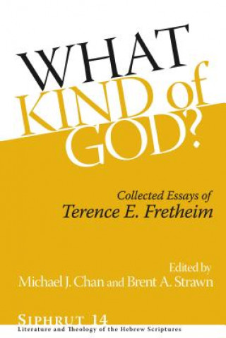 Kniha What Kind of God? Brent A. Strawn