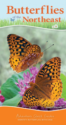 Carte Butterflies of the Northeast Jaret C Daniels