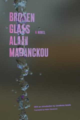 Book Broken Glass Alain Mabanckou