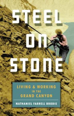 Boek Steel on Stone Nathaniel Brodie