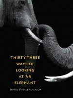 Carte Thirty-Three Ways of Looking at an Elephant Dale Peterson