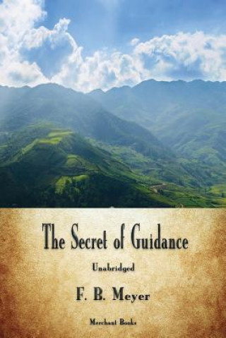 Kniha Secret of Guidance F Meyer