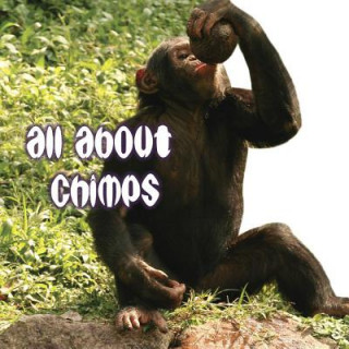 Book All about Chimps Cindy Rodriguez