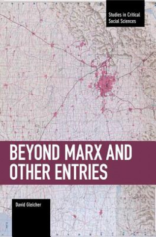 Könyv Beyond Marx And Other Entries David Gleicher