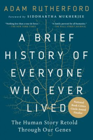 Книга Brief History of Everyone Who Ever Lived Adam Rutherford