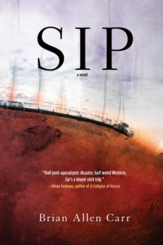 Buch Sip Brian Allen Carr