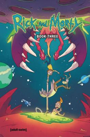 Carte Rick And Morty Book Three Kyle Starks