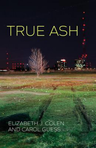 Knjiga True Ash Elizabeth J Colen