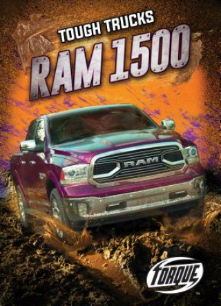 Könyv RAM 1500 Larry Mack