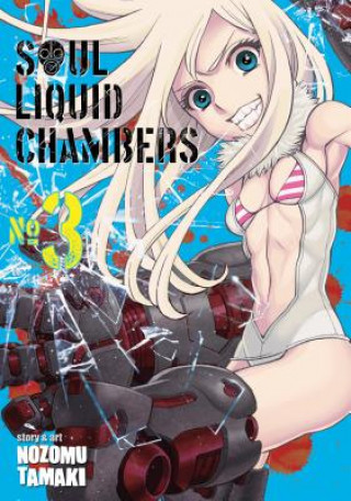 Könyv Soul Liquid Chambers Vol. 3 Nozomu Tamaki