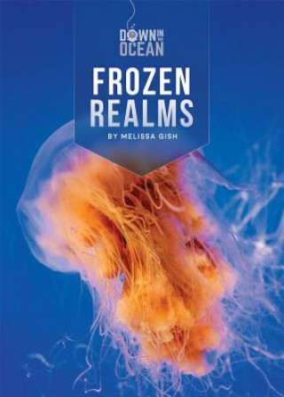 Kniha Frozen Realms Melissa Gish