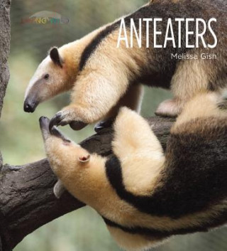 Carte Anteaters Melissa Gish