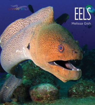 Knjiga Eels Melissa Gish
