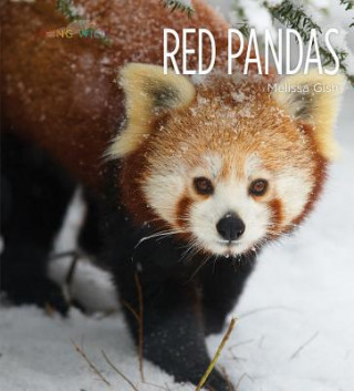 Kniha Red Pandas Melissa Gish