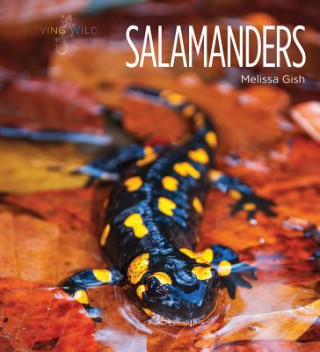 Książka Salamanders Melissa Gish