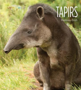 Kniha Tapirs Melissa Gish