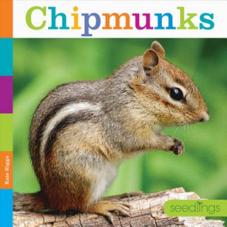 Knjiga Chipmunks Kate Riggs