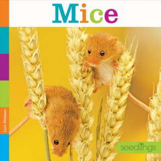 Book Mice Lori Dittmer