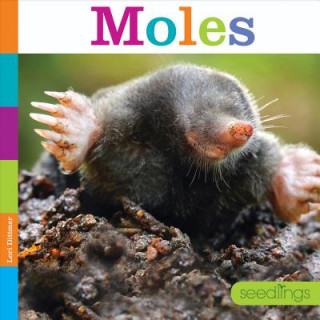 Kniha Moles Lori Dittmer