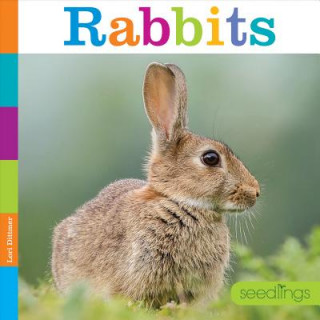 Buch Rabbits Lori Dittmer