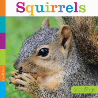 Carte Squirrels Quinn M Arnold
