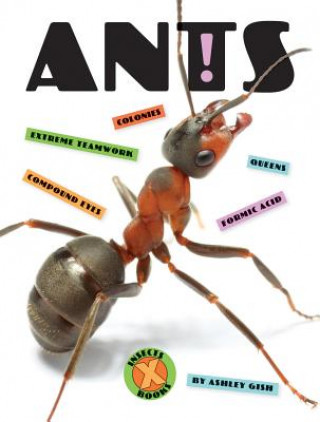 Libro Ants Ashley Gish