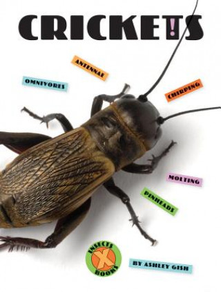 Βιβλίο Crickets Ashley Gish