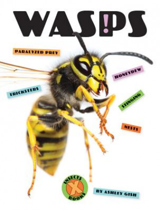 Βιβλίο Wasps Ashley Gish