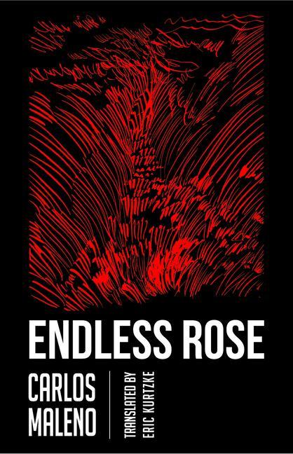 Kniha Endless Rose Carlos Maleno