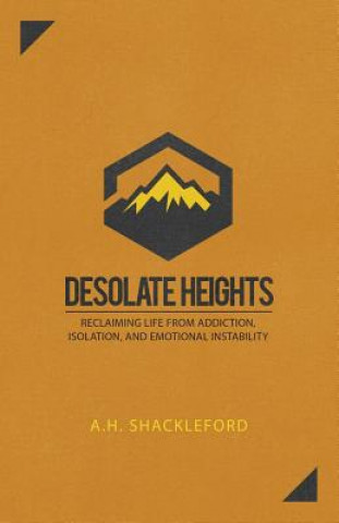 Buch Desolate Heights A H Shackleford