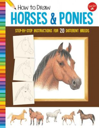 Kniha How to Draw Horses & Ponies Russell Farrell